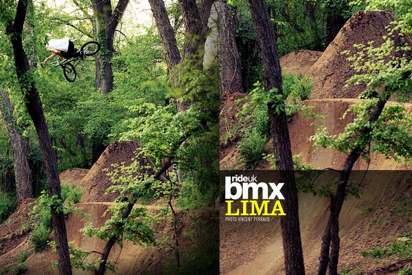 Der Kerl macht extreme Fahrradfahrten in einem hügeligen Wald