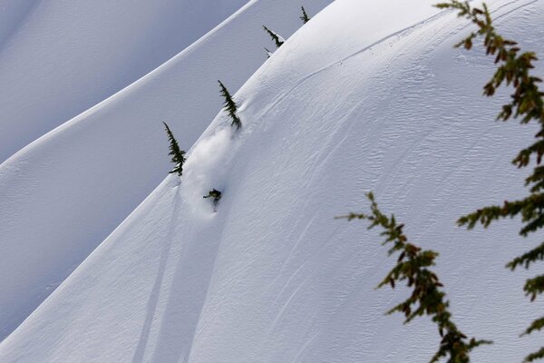 The slope of a snow-covered mountain in winter with Christmas trees and a man on a snowboard