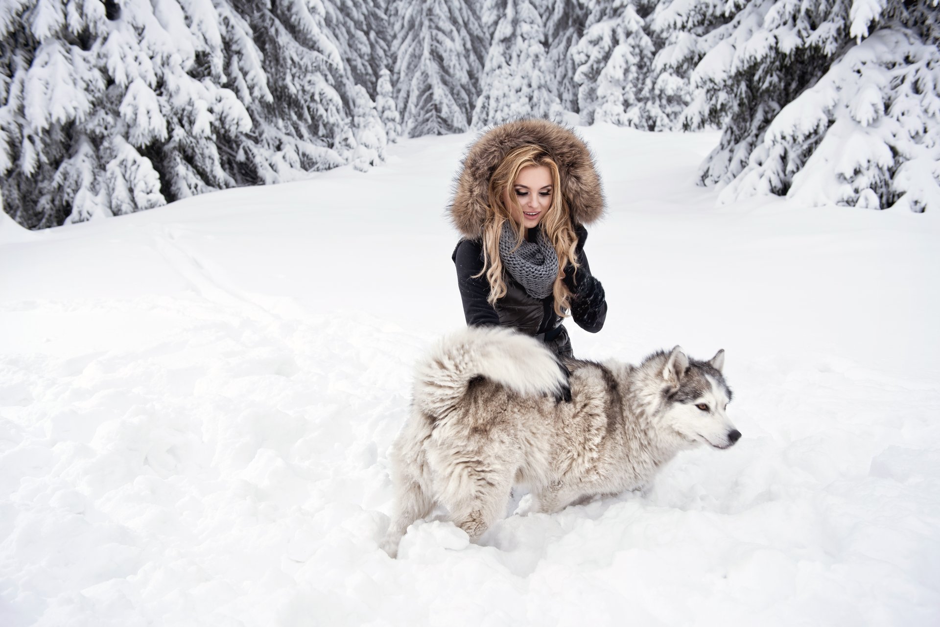 bionda ragazza cane husky vista neve foresta