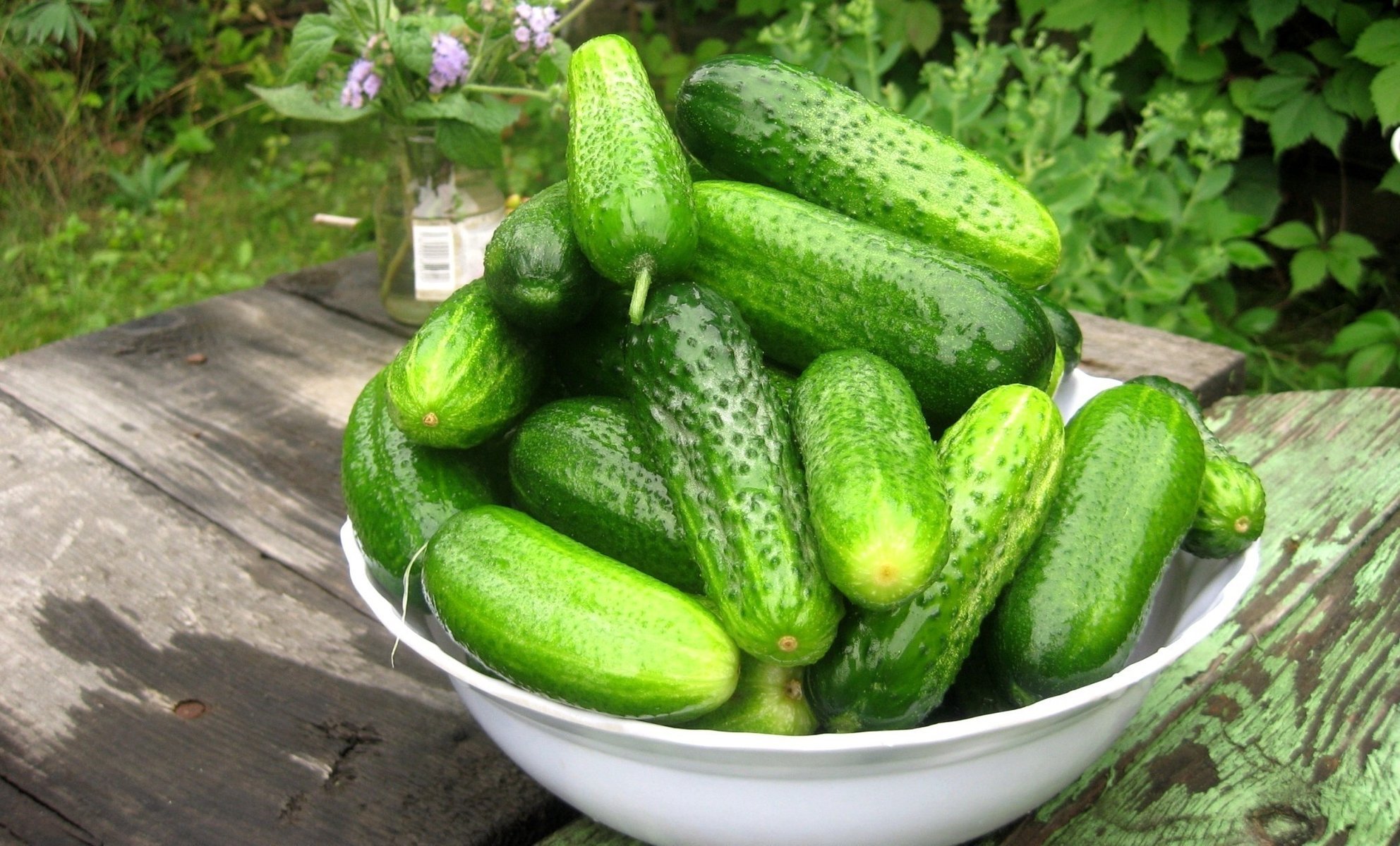 légume vert concombres papier peint concombres nourriture concombre