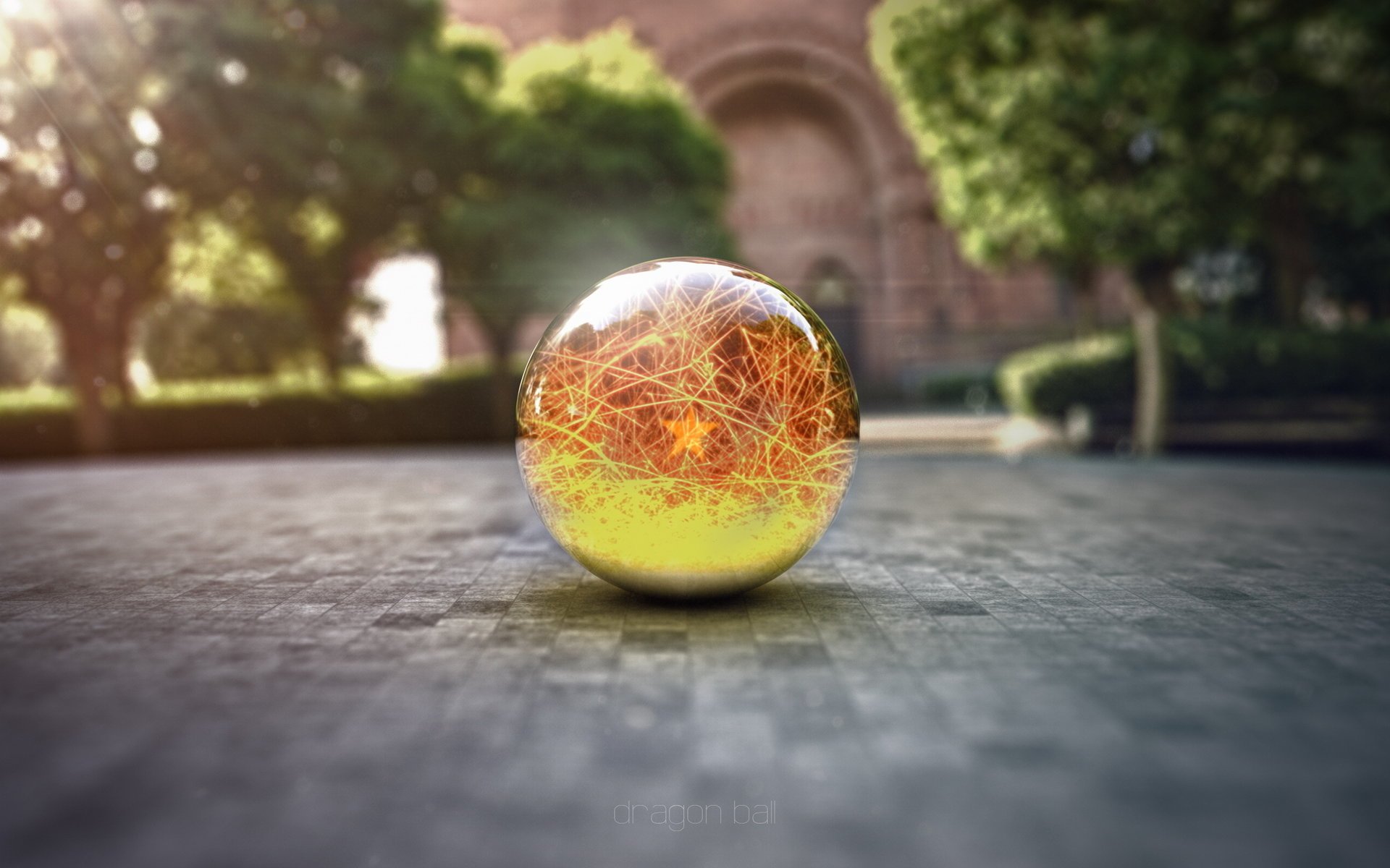 dragon ball boule de verre macro rendu