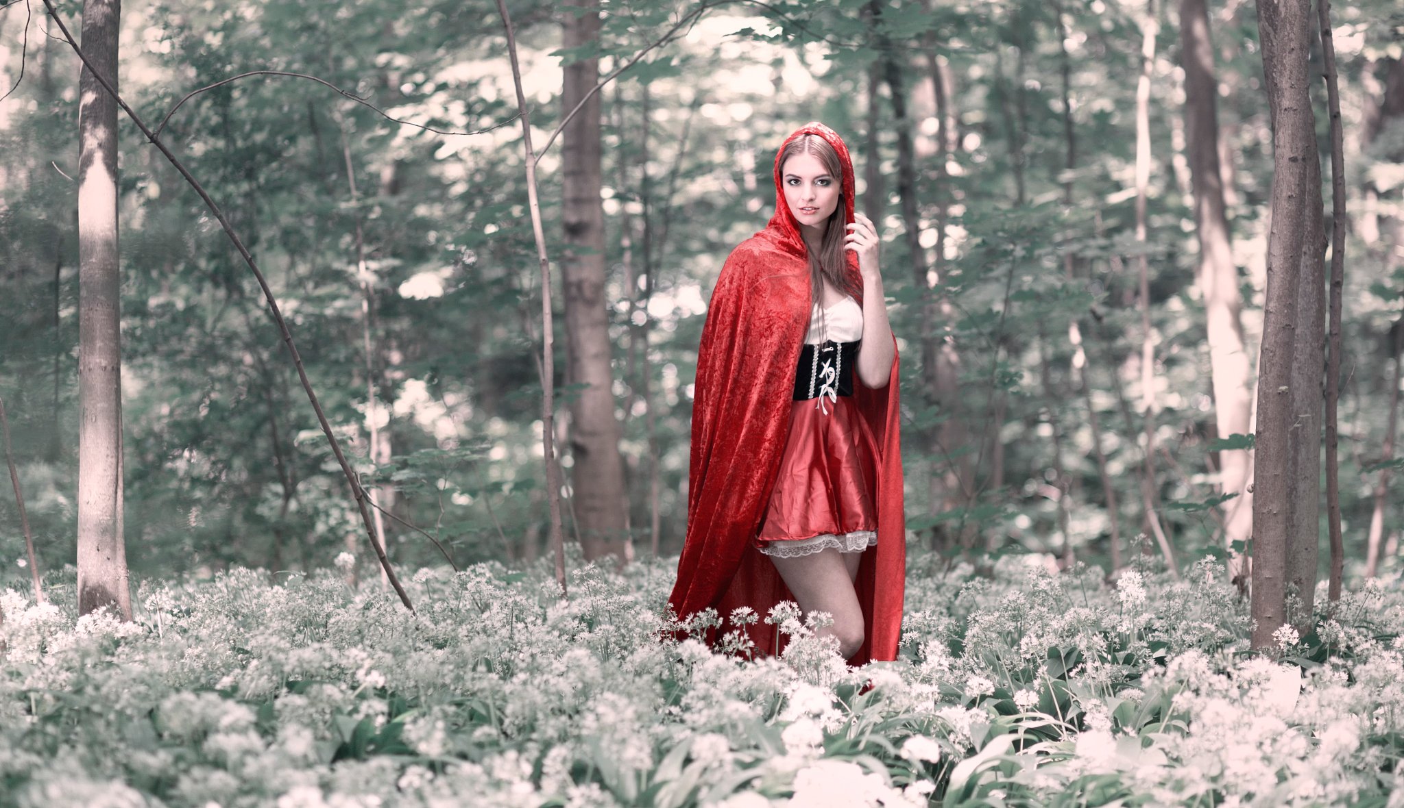 cosplay petit chaperon rouge forêt