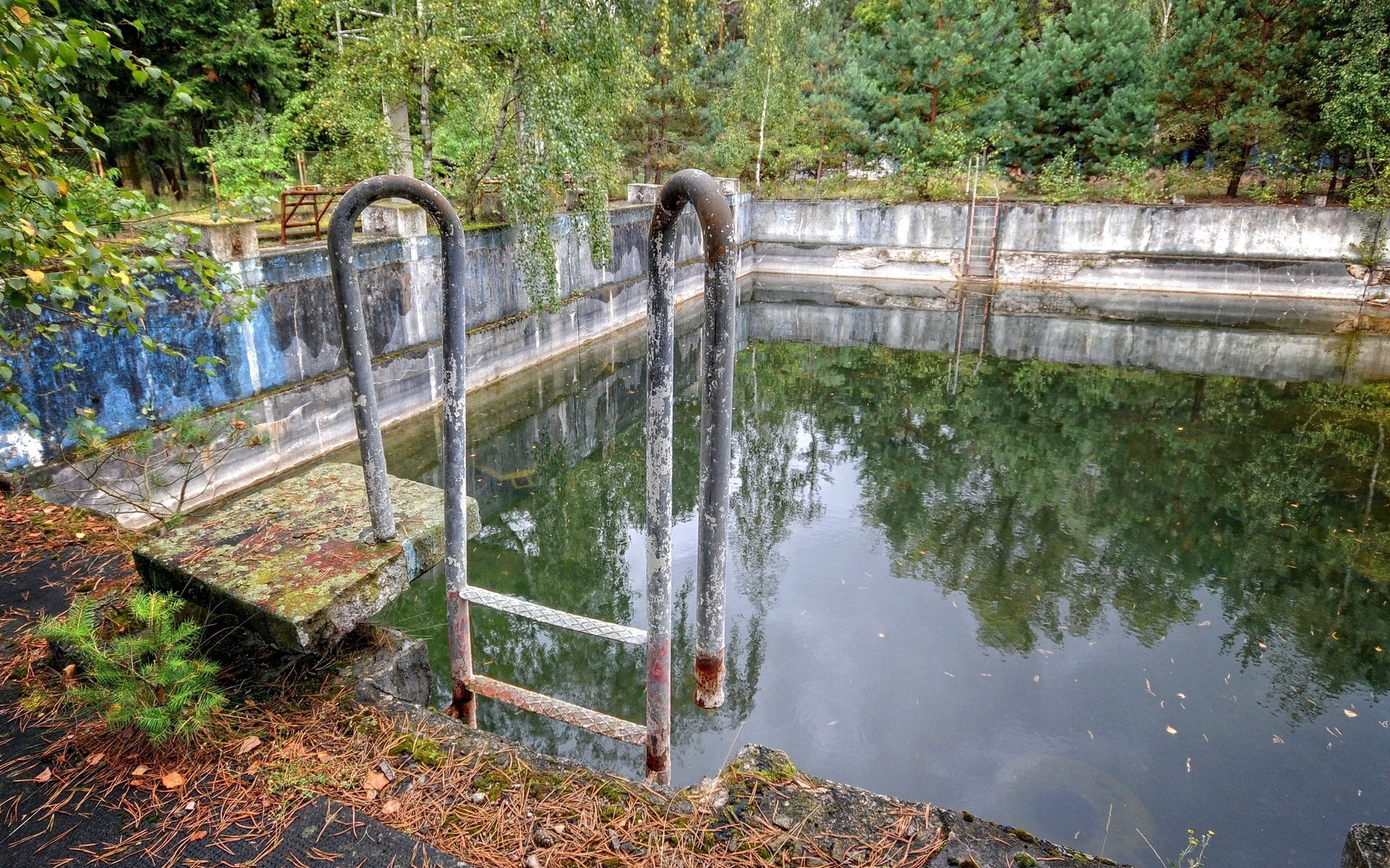 fond piscine sport