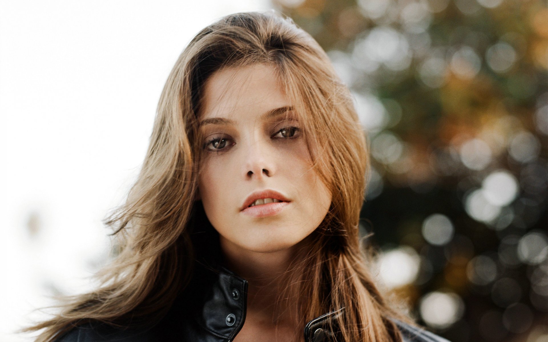 ashley greene alice bellezza attrice bruna affascinante bellezza