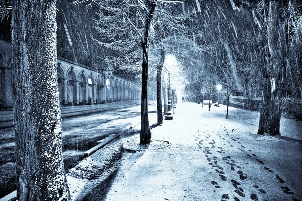 Schneebedeckte Alea in der Nacht im Licht der Laternen