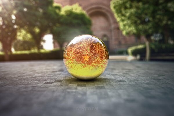 Glass ball on the background of trees