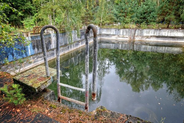 An old swimming pool in an overgrown forest