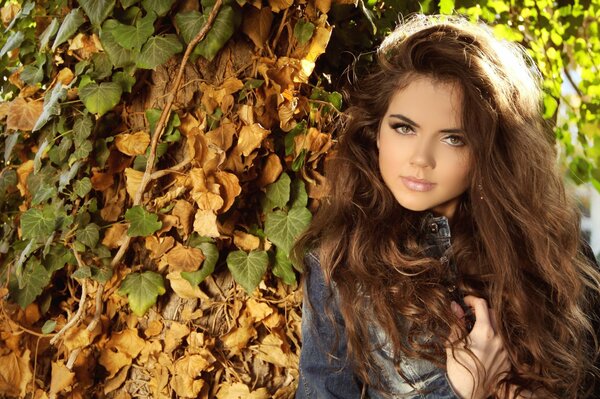 Cute girl on the background of autumn foliage