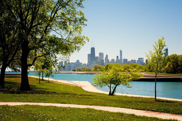 Park w Chicago z widokiem na drapacze chmur