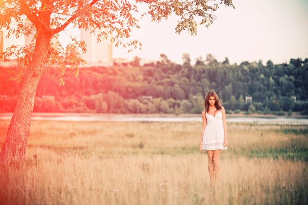 Mädchen in einem weißen Kleid auf einem schönen Feld