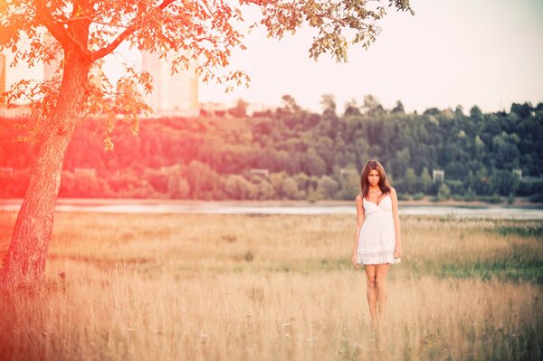 Fille en robe blanche sur un beau champ