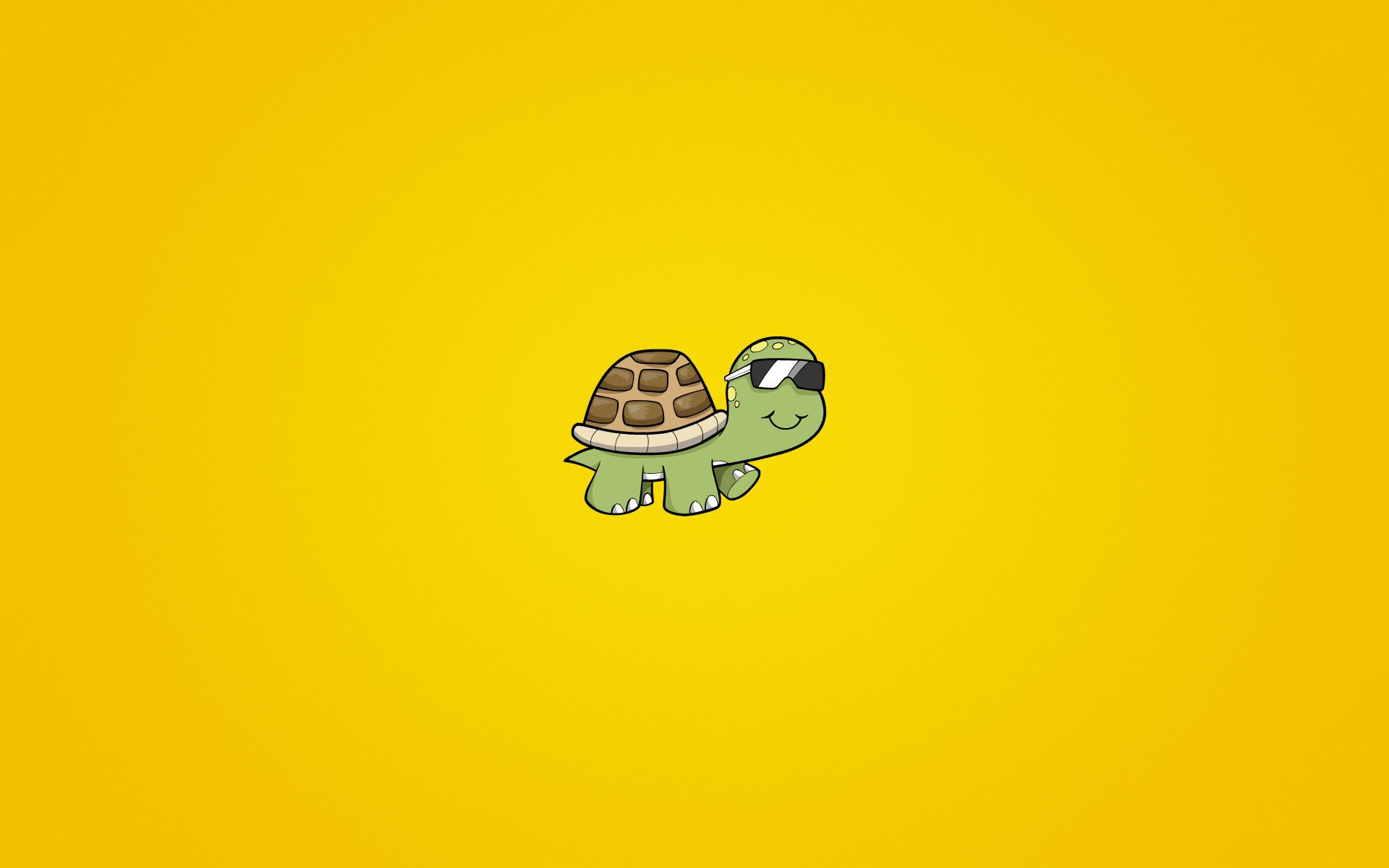 unny background turtle turtle shell animal glasse