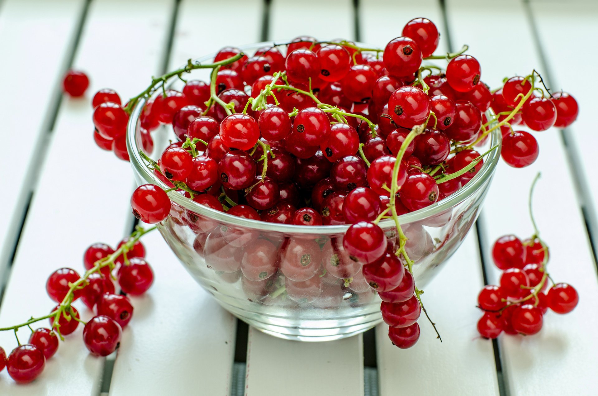 groseille assiette baies rouge table