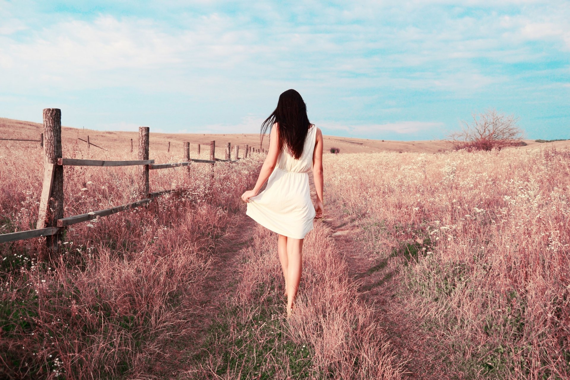 dziewczyna brunetka sukienka nogi pole trawa