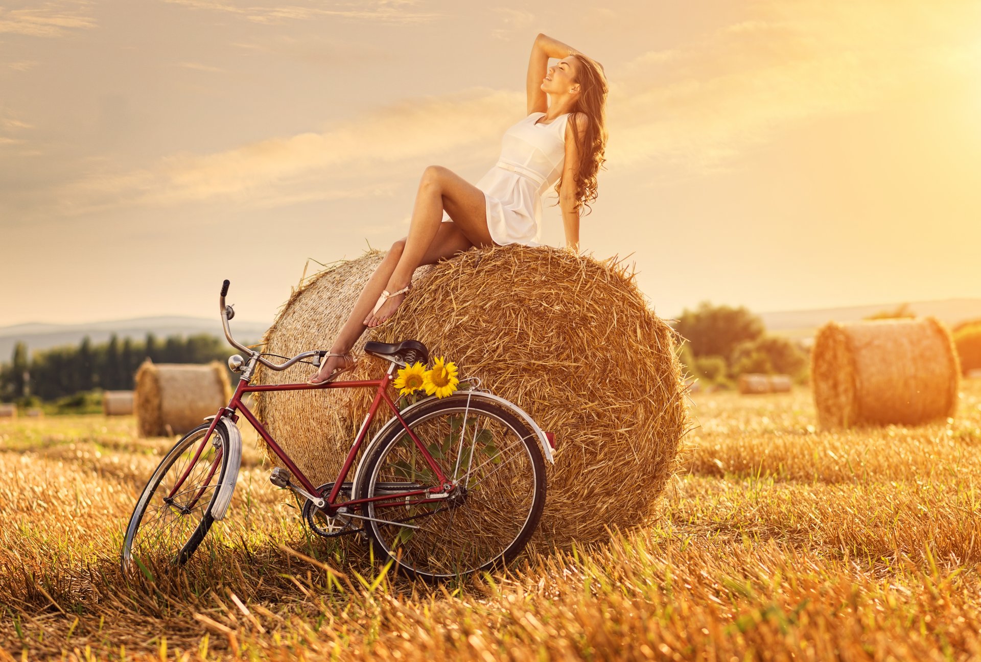 the field haystack girl bike sunflower