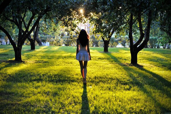 Silueta de una chica en el sol en el parque