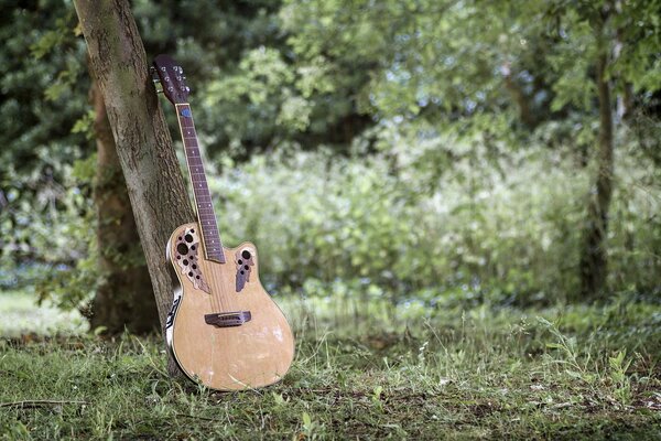 Eine schöne Gitarre steht auf dem Rasen am großen Baum