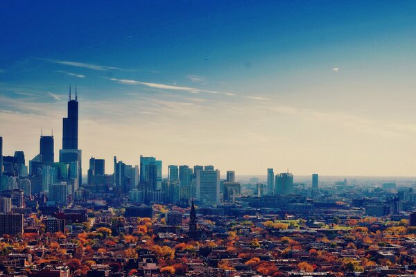 Los rascacielos más hermosos están en Chicago