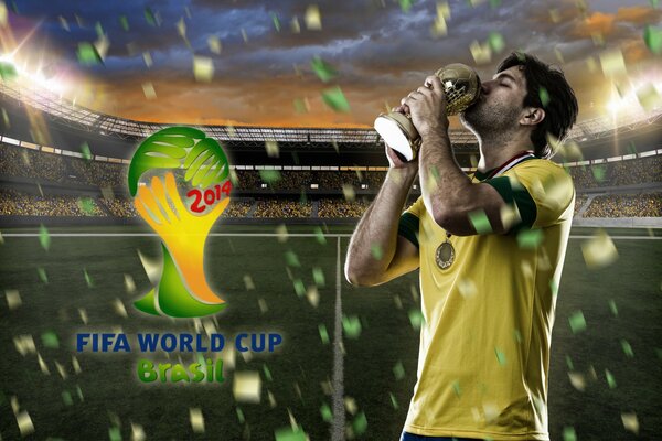 Кубок мира 2014. Бразилия