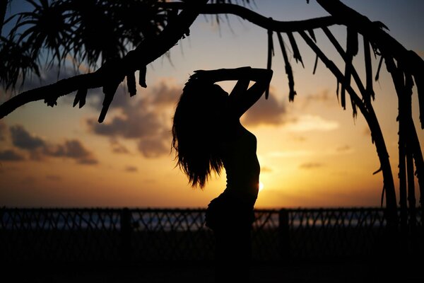 Silhouette d une fille sexy sur fond de coucher de soleil