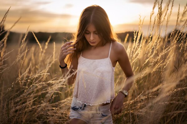 Belle fille dans le champ pendant le coucher du soleil