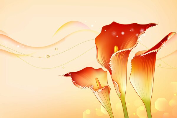 Orange calla lilies on a postcard. Flowers