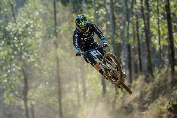 Carreras de bicicletas en el bosque