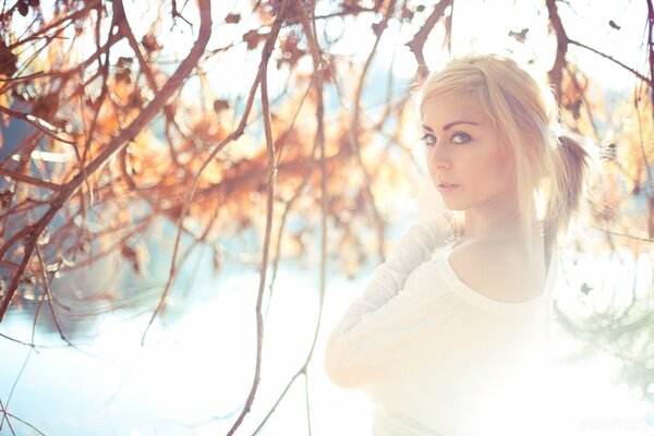 Belle fille posant au photographe sur fond de branches avec des feuilles jaunes