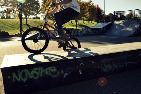 Skate park in summer with a guy on a bike