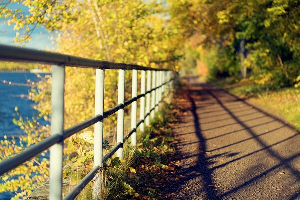 Ombre sur le chemin de la naissance dans le Square d automne près de l eau