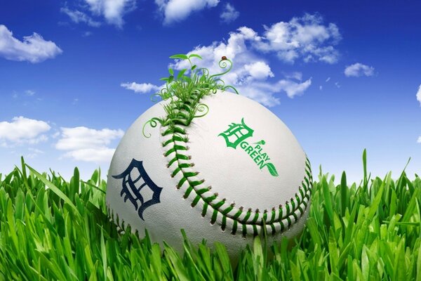 Sports ball on the green grass