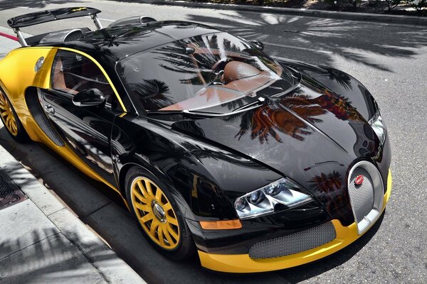 Bugatti noir jaune se dresse sous les palmiers et le soleil