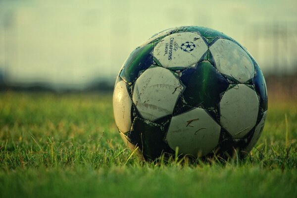 Fußball auf dem Feld im Gras