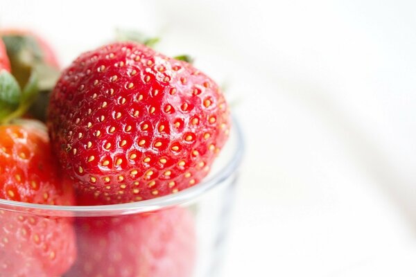 Succosa fragola matura in una ciotola trasparente