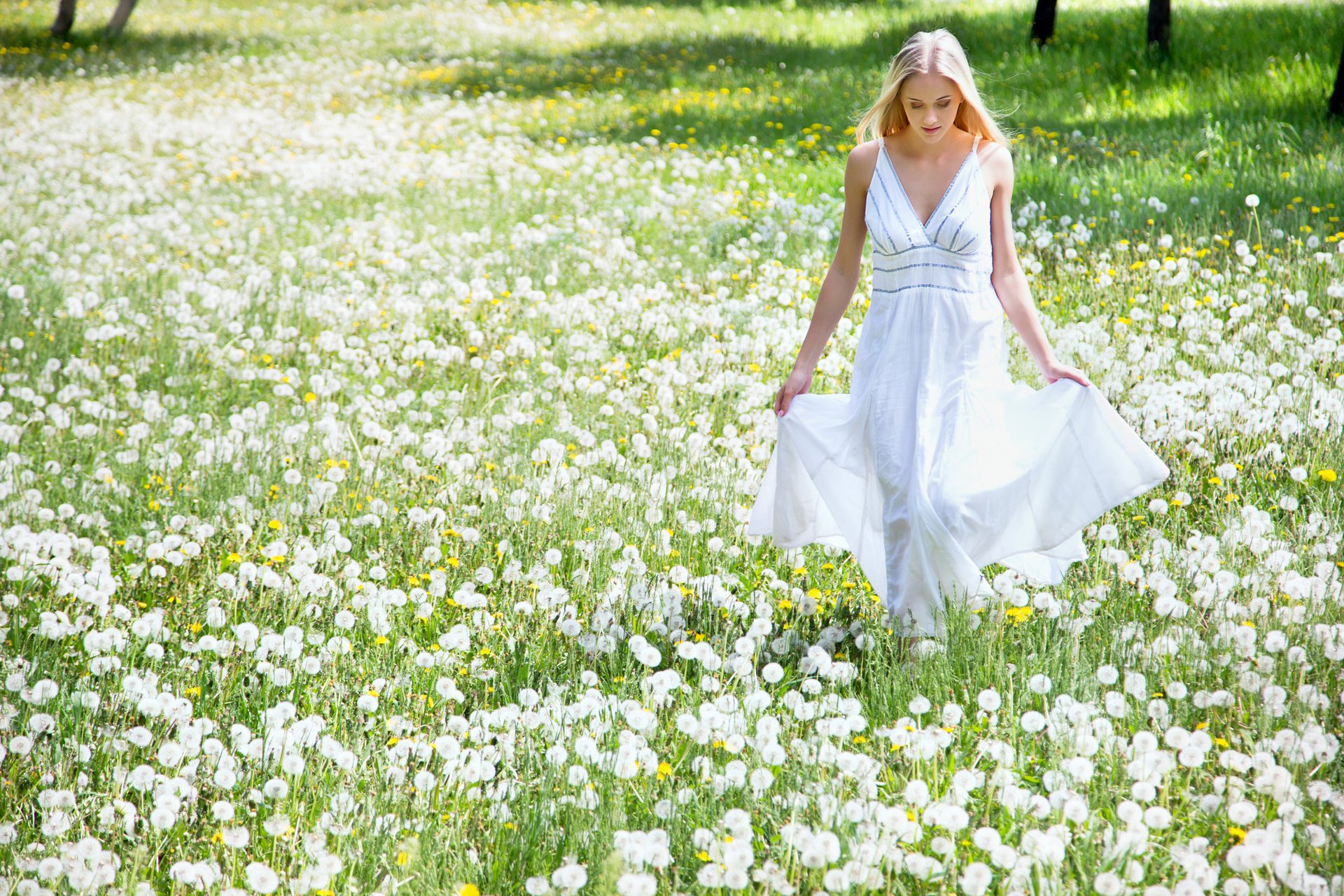 mädchen blond feld löwenzahn blumen