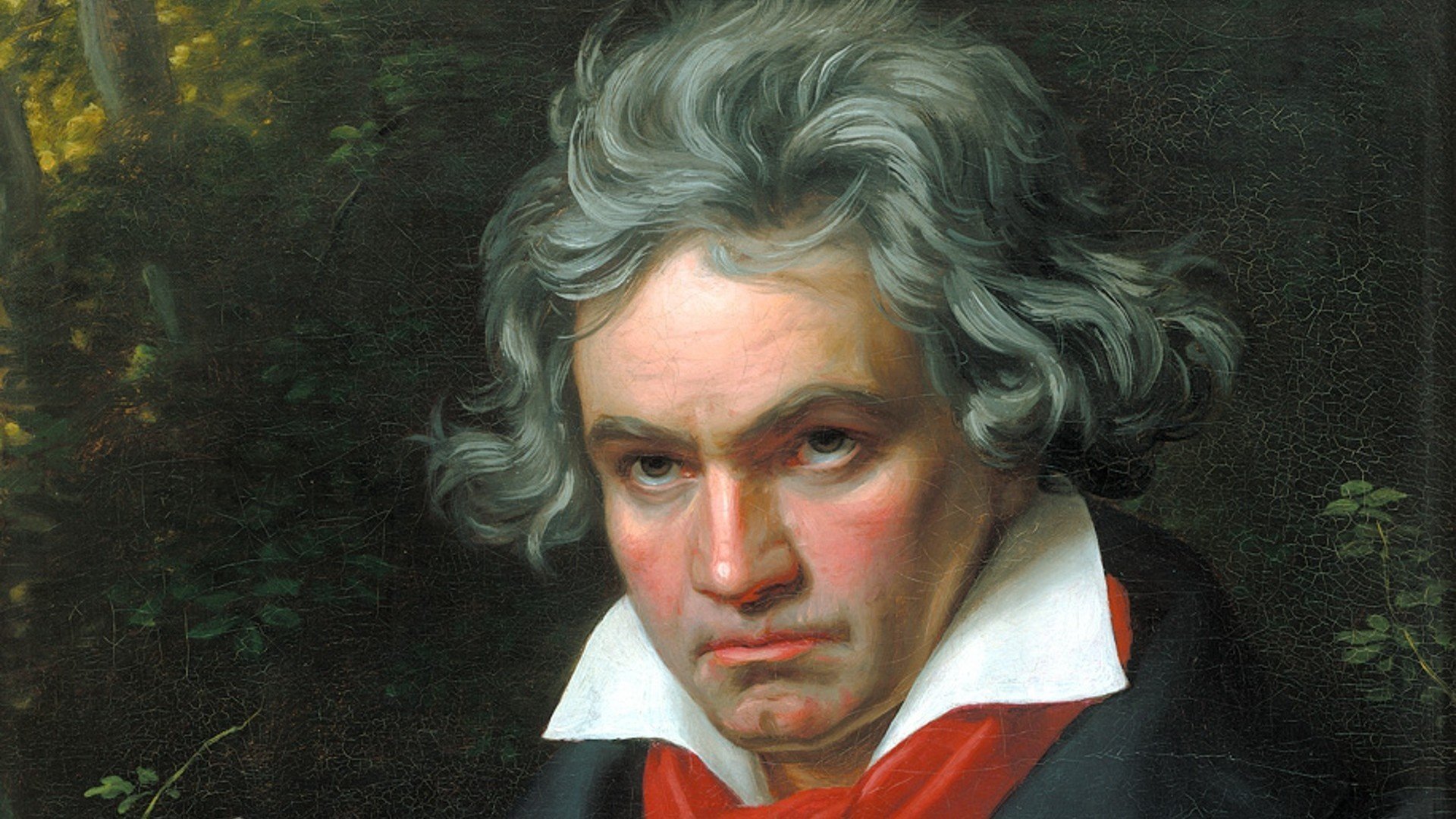 ludwig van beethoven ludwig van beethoven músico compositor