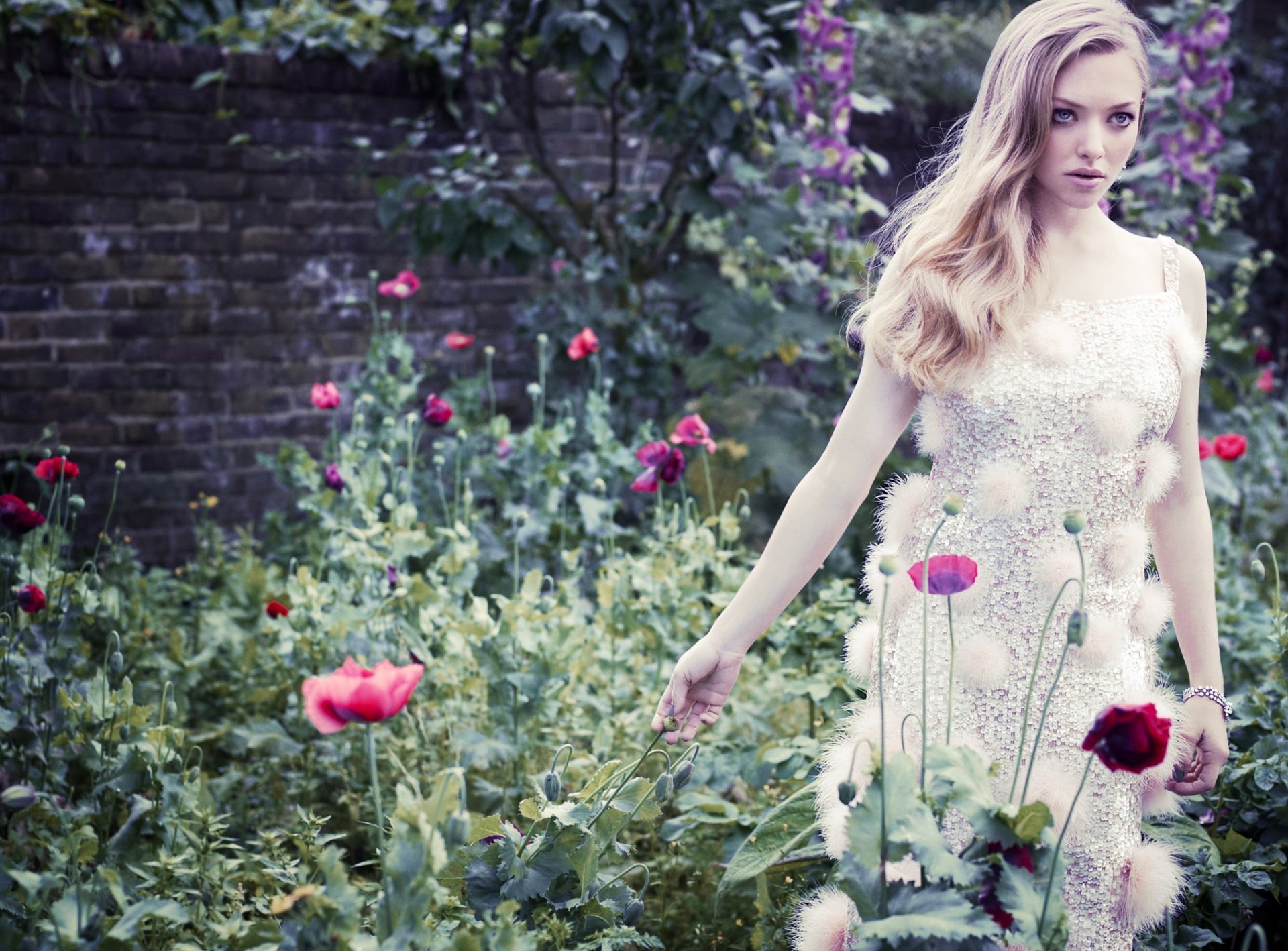 amanda seyfried fille blonde actrice célébrité fleurs coquelicots