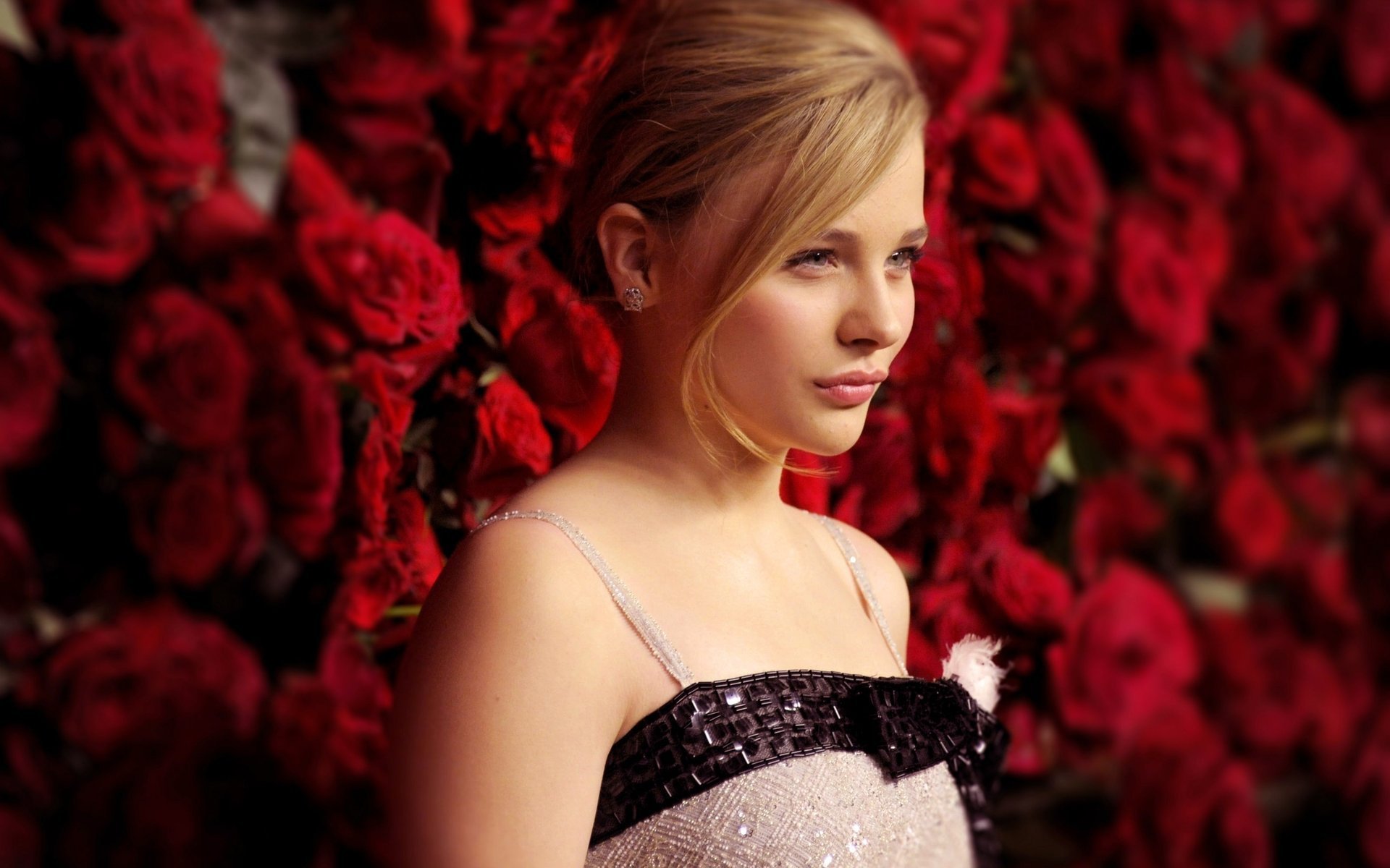 chloe grace moretz roses actress chloe grace moretz actre