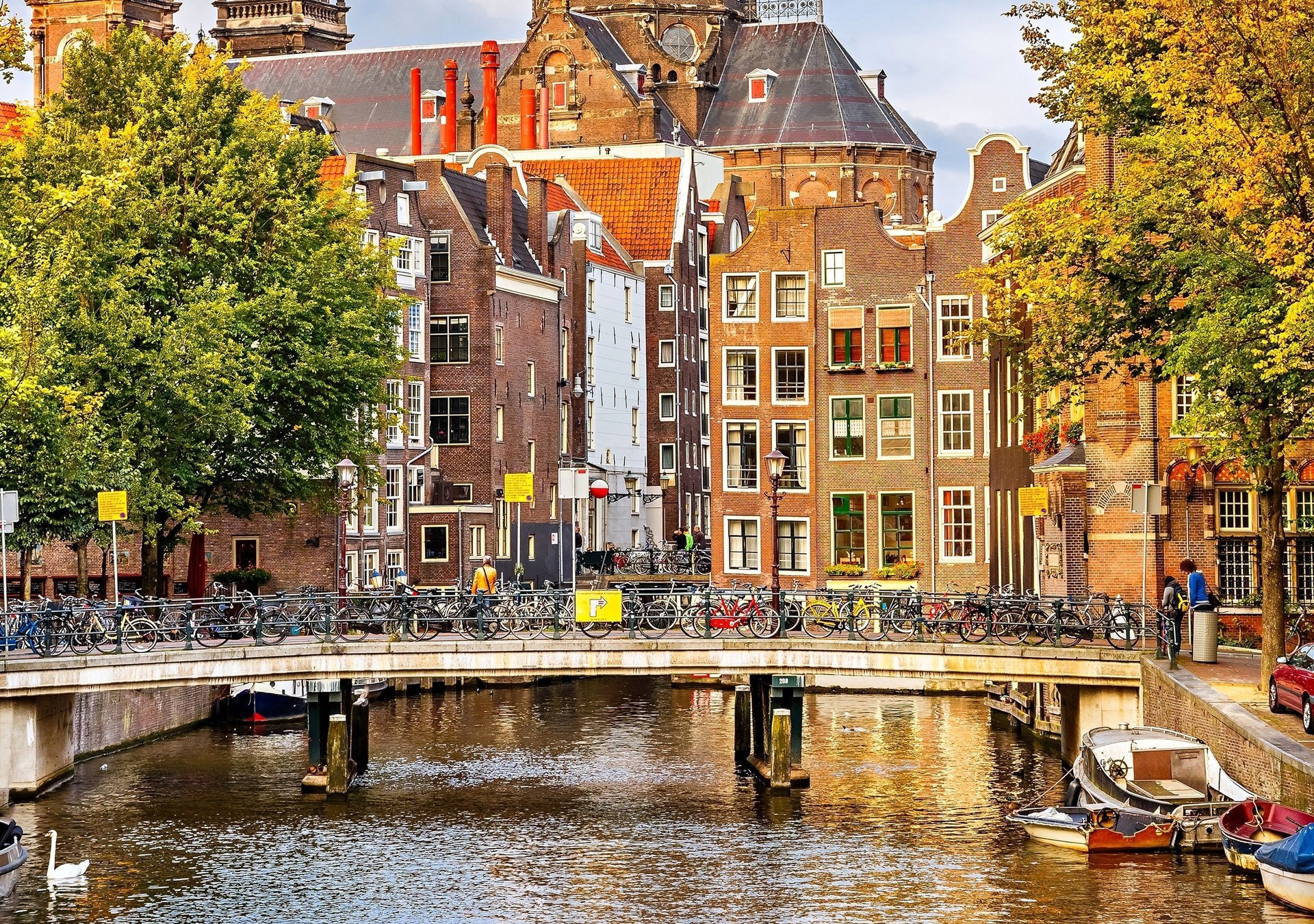 amsterdam automne nederland amsterdam arbres pays-bas