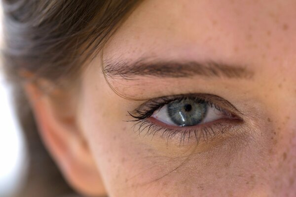 Yeux gris fille avec des taches de rousseur