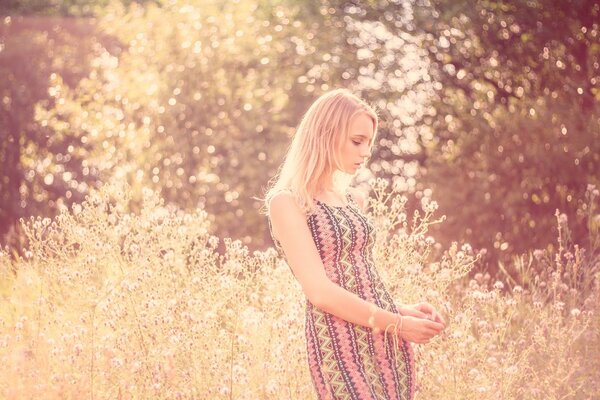 A girl in a beautiful dress poses in nature