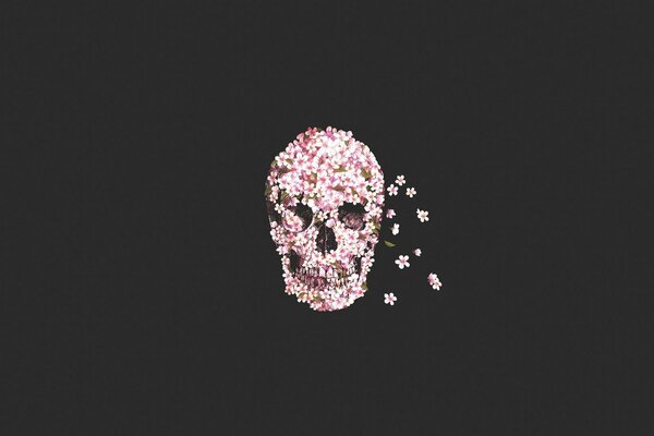 Cráneo de flores de color rosa cramy