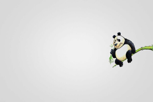 Panda sur bambou mange une feuille