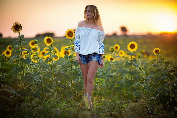 Ragazza in un campo di girasole al tramonto