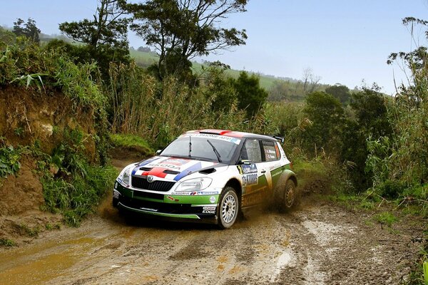 Skoda au rallye automobile sport