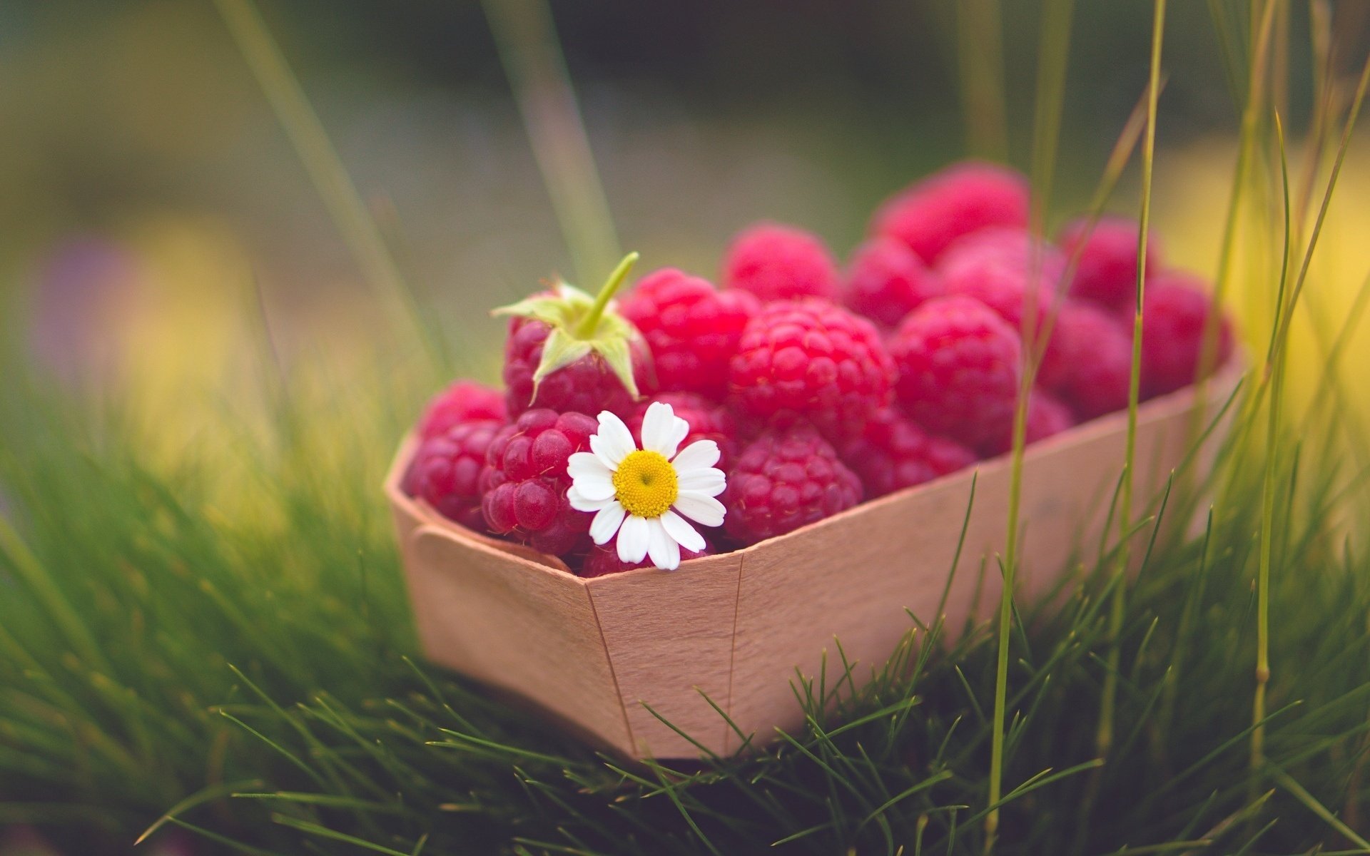 chamomile grass food berry flower raspberry flower