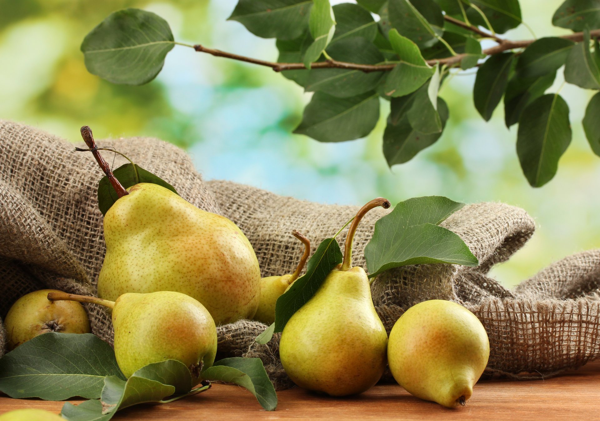 birnen obst blätter zweig tisch