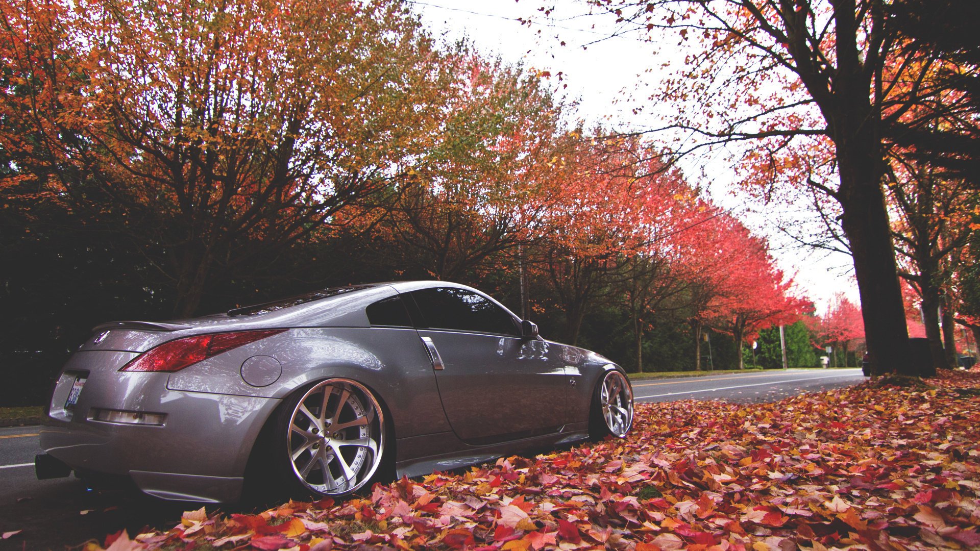 nissan rue nissan 350z automne photo route nature