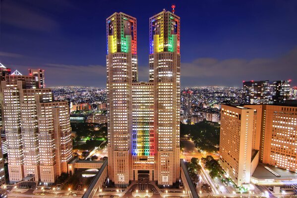 The lights of the metropolis in the capital of Japan