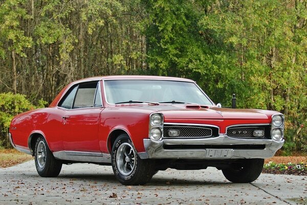 Czerwony hardtop pontiac classic 1967 na tle zielonego lasu